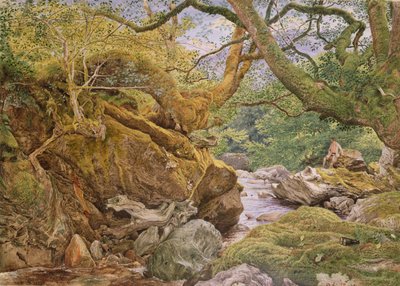 Study from Nature: Inveruglas, 1857 by Joseph Noel Paton